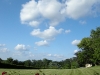woodmont_sky_lawn